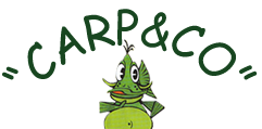 Carp & Co